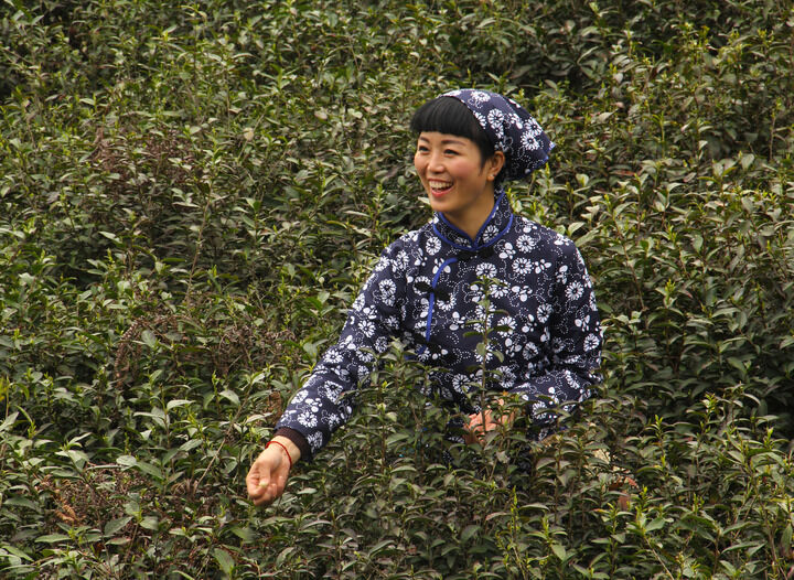 伊人app色淫直播 热门3